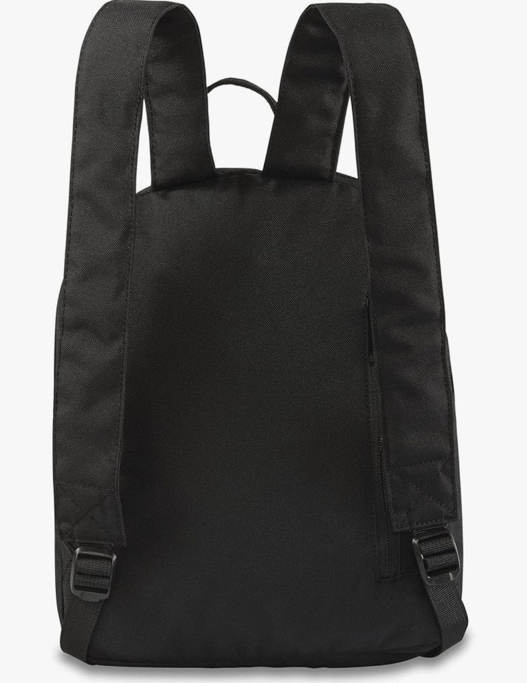 Dakine Mini Backpack back
