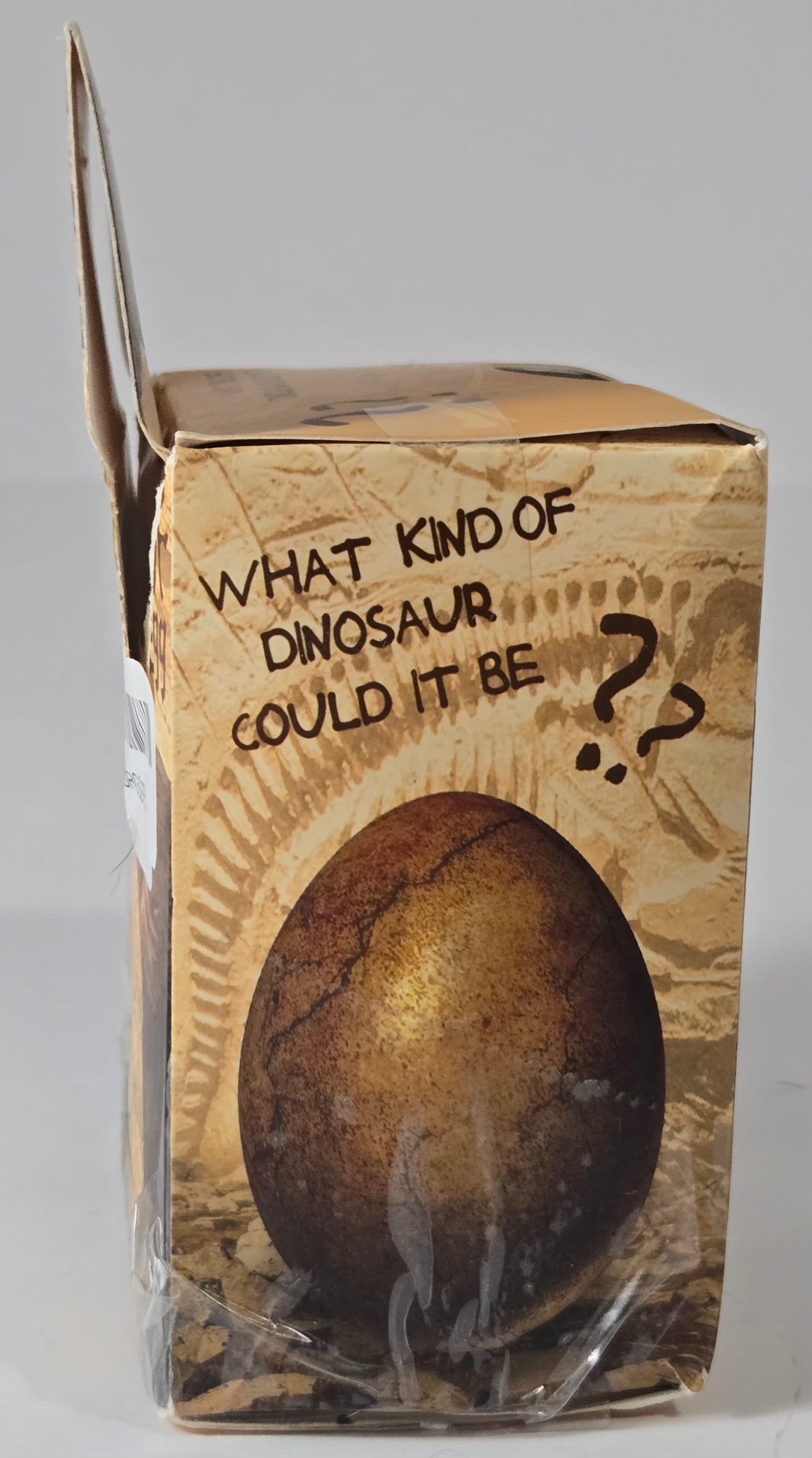 Dinosaur Egg