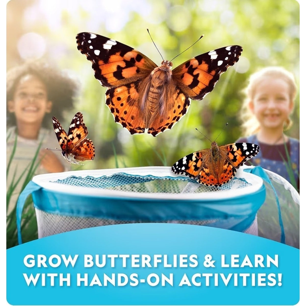 Butterfly Growing Kit Voucher for 5 Live Caterpillars STEM National Geographic