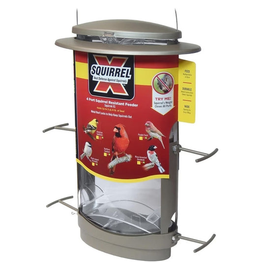 More Birds X-1 Squirrel-Proof Bird Feeder 4.2-Pound Bird Seed Capacity And Four