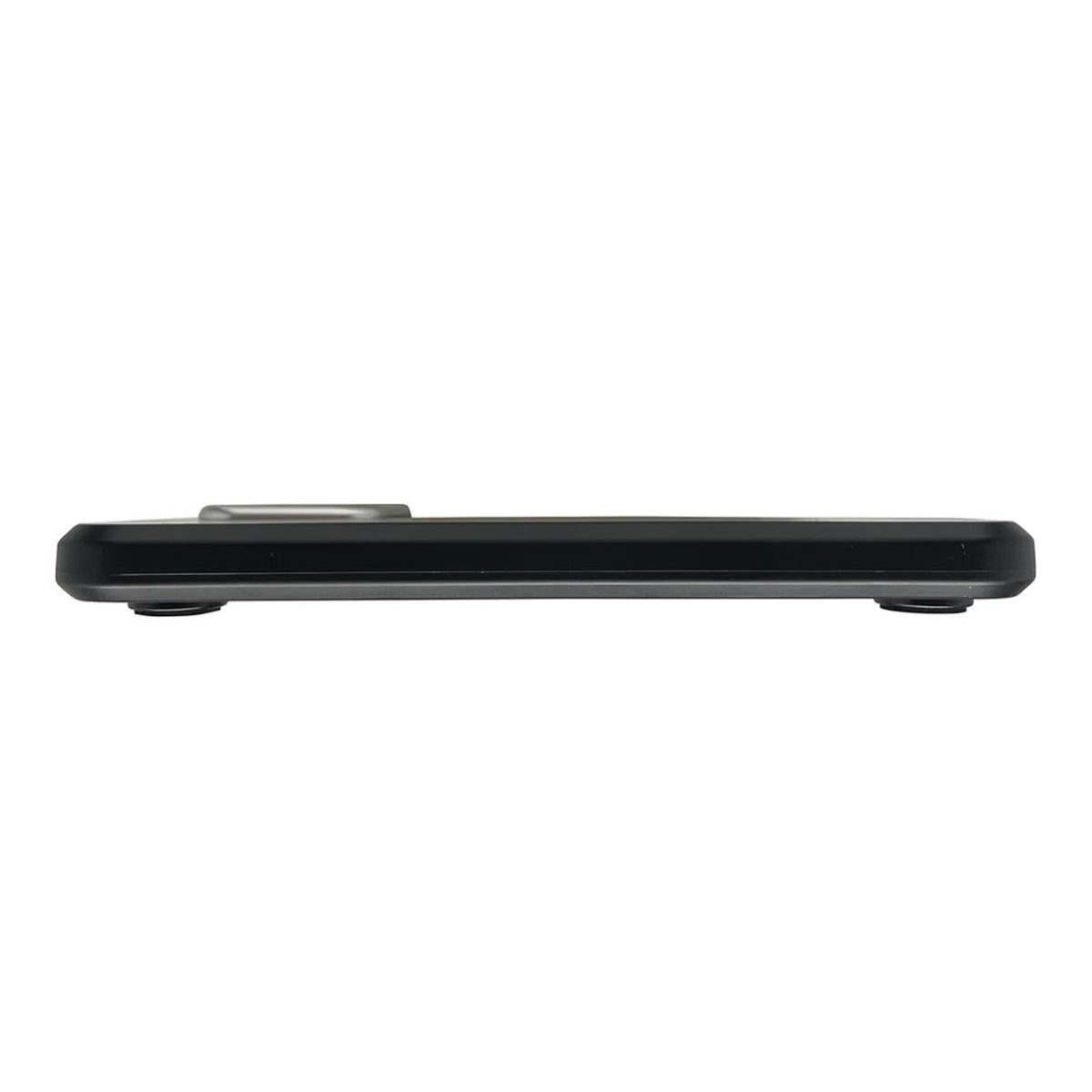 Taylor Digital Scales, 400 LB Capacity, (Black)