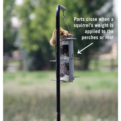 More Birds X-1 Squirrel-Proof Bird Feeder 4.2-Pound Bird Seed Capacity And Four