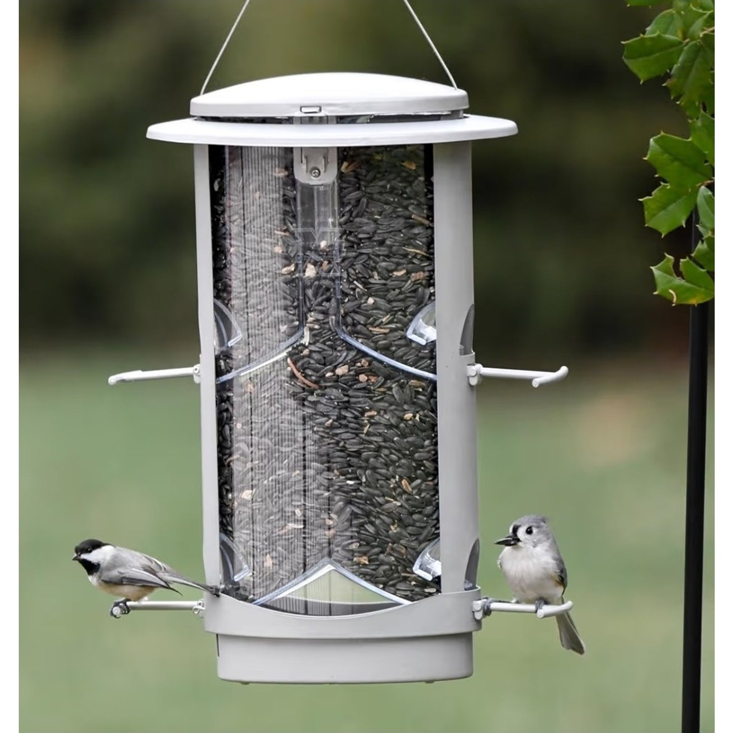 More Birds X-1 Squirrel-Proof Bird Feeder 4.2-Pound Bird Seed Capacity And Four